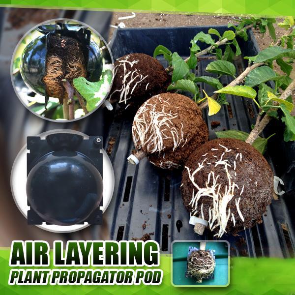 Plant Root Growing Box